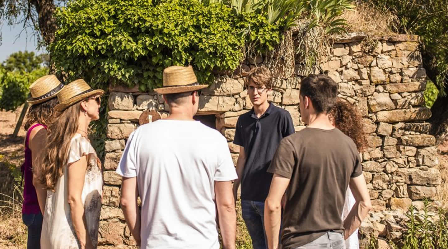 A walk to admire vineyards and dry stone huts with brunch