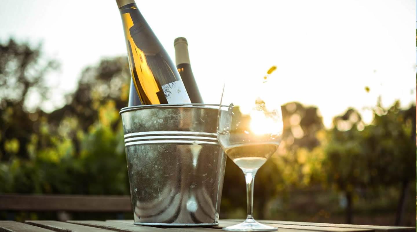 Ecorail and wine tasting