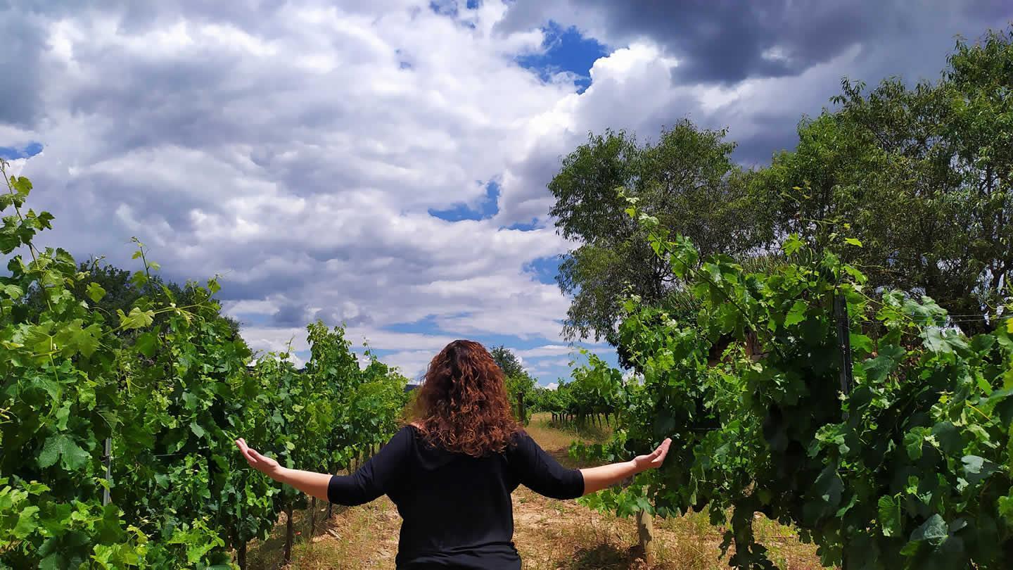 Wine bar, mindfulness i winefulness amb allotjament als Apartaments les Bases