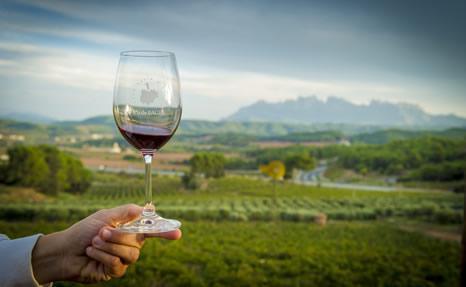 Viatge per la Ruta del vi de la DO Pla de Bages a través d’un tast de vins de la denominació d’origen i productes locals