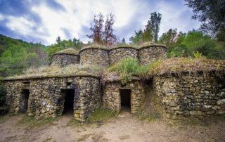 Les tines de la vall del Flequer