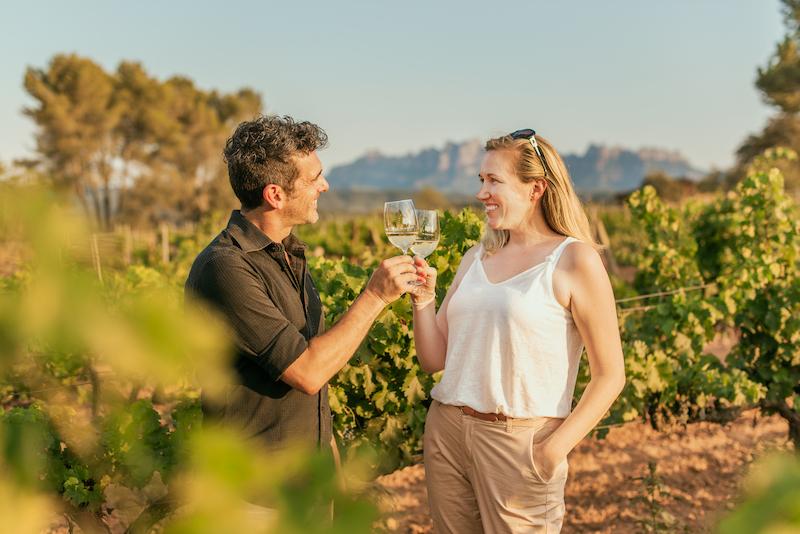 Paisatges de vinya de la Ruta del vi DO Pla de Bages