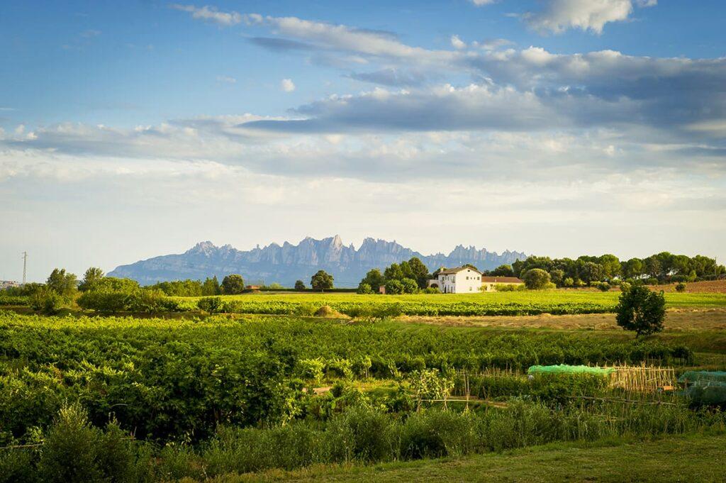 Mas de Sant Iscle Mond Obert