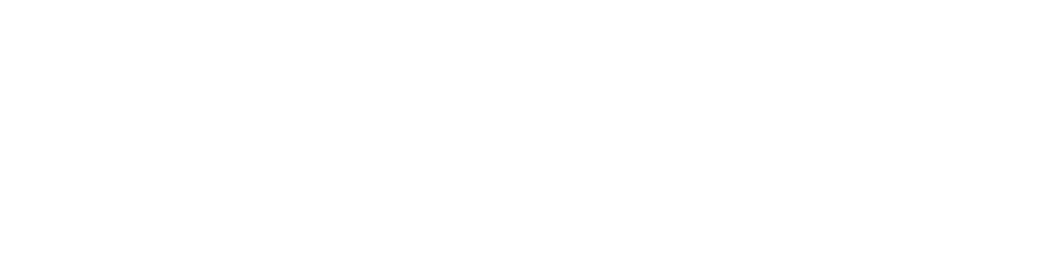 Logo-Camins-de-vi-BLANC