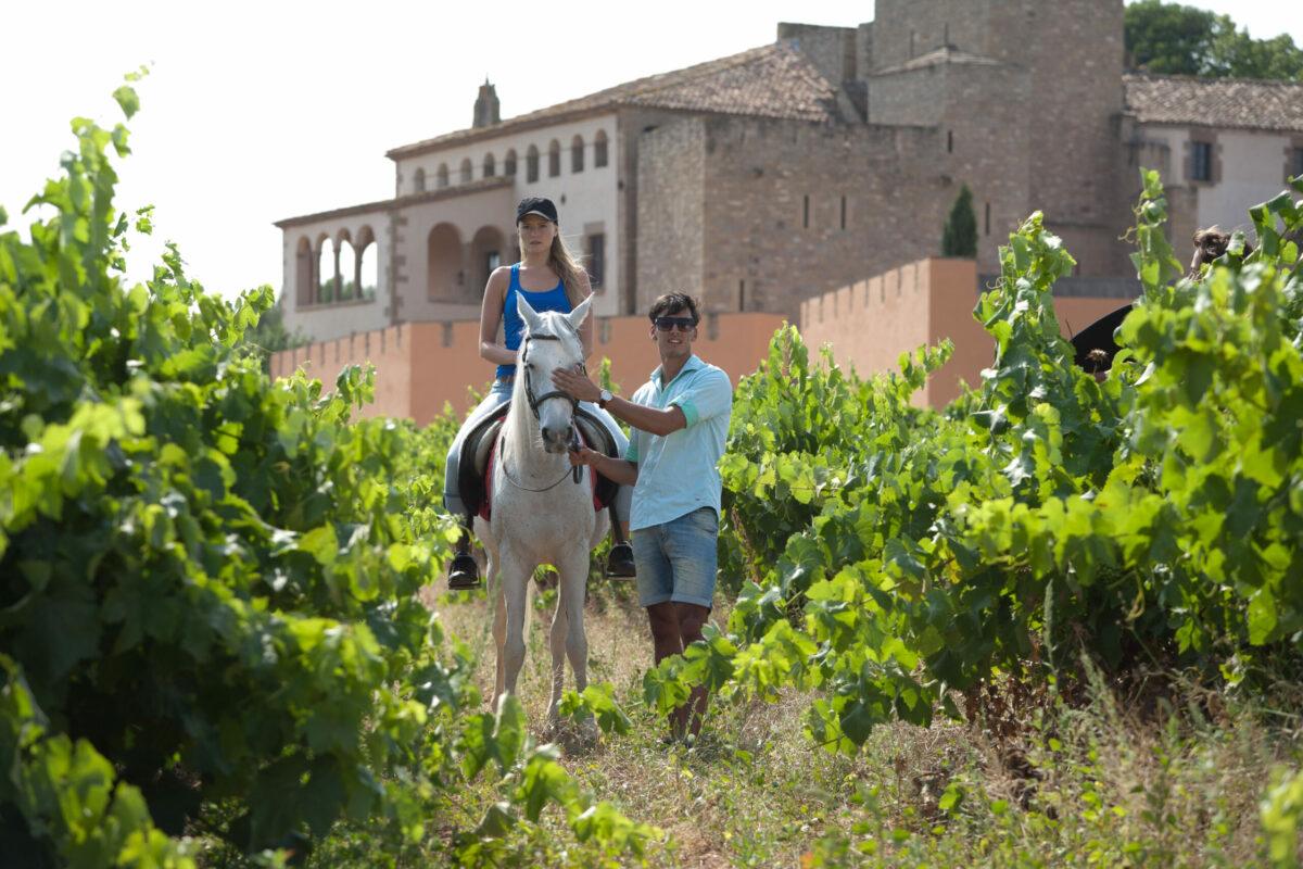 Horseback riding through the vineyards