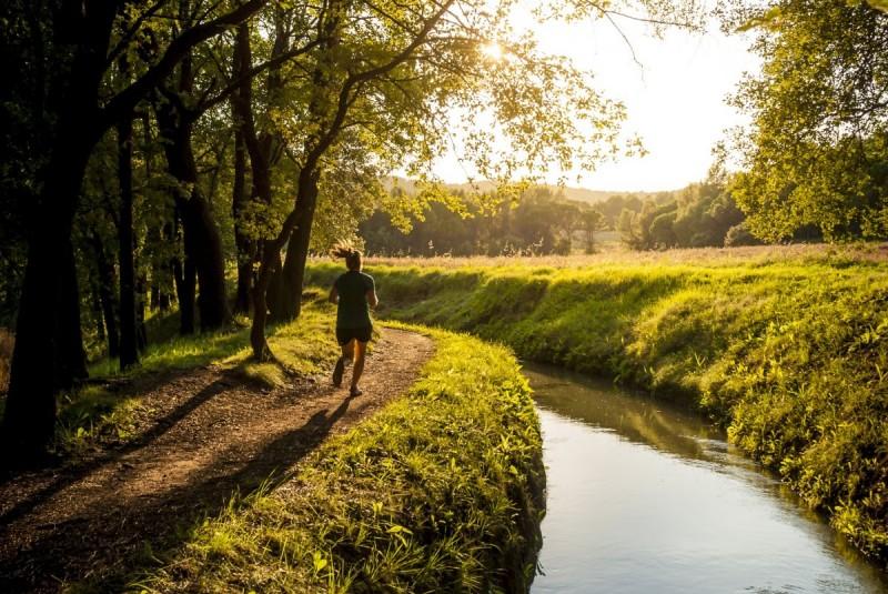 Guided walking tour along the Sèquia with a wine tasting