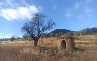 Sant Joan de Vilatorrada i Collbaix