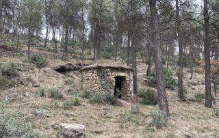 Les barraques als boscos de Castellgalí