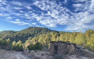 Itinerari de pedra seca del Samuntà de Súria