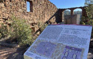 Els boscos de Castellnou de Bages