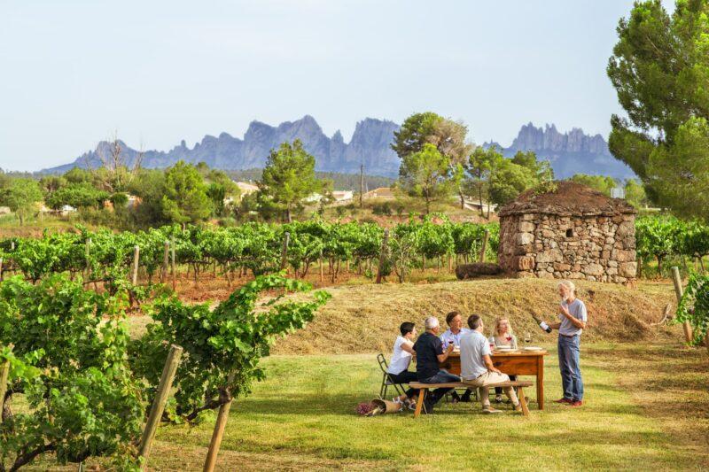 Fargas-Fargas-DO-5 (1)