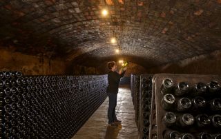 Caves del sindicat d’Artès. Bages, novembre de 2015.