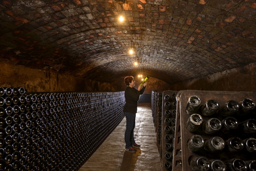 Caves del sindicat d’Artès. Bages, novembre de 2015.