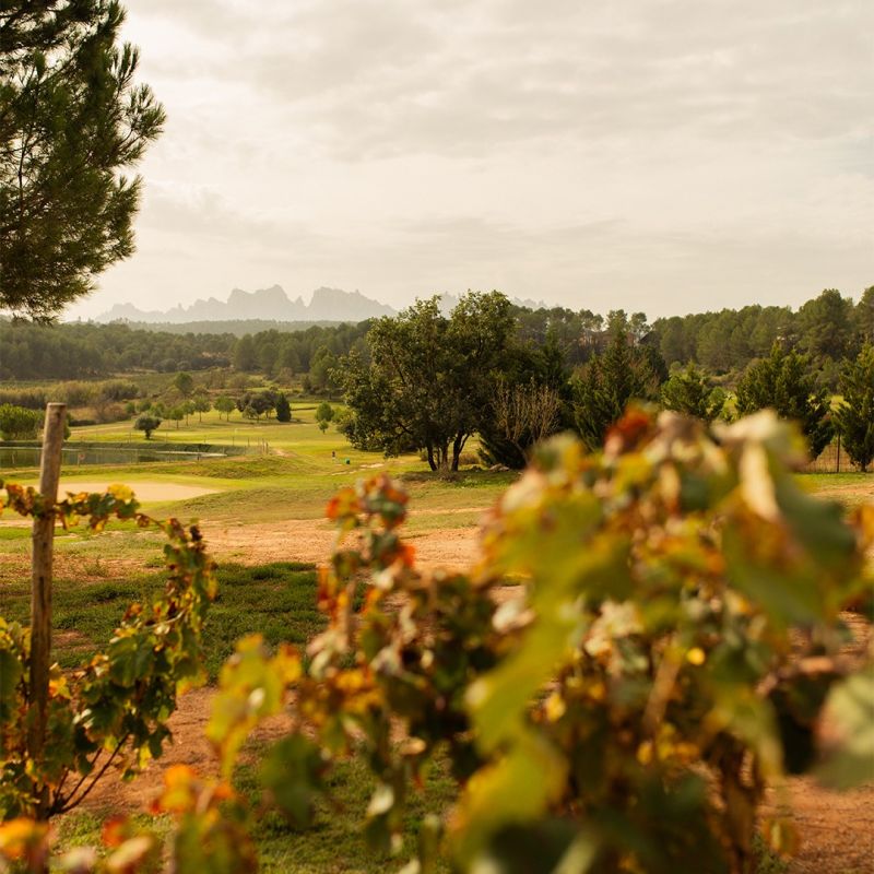 Oller del mas – golf