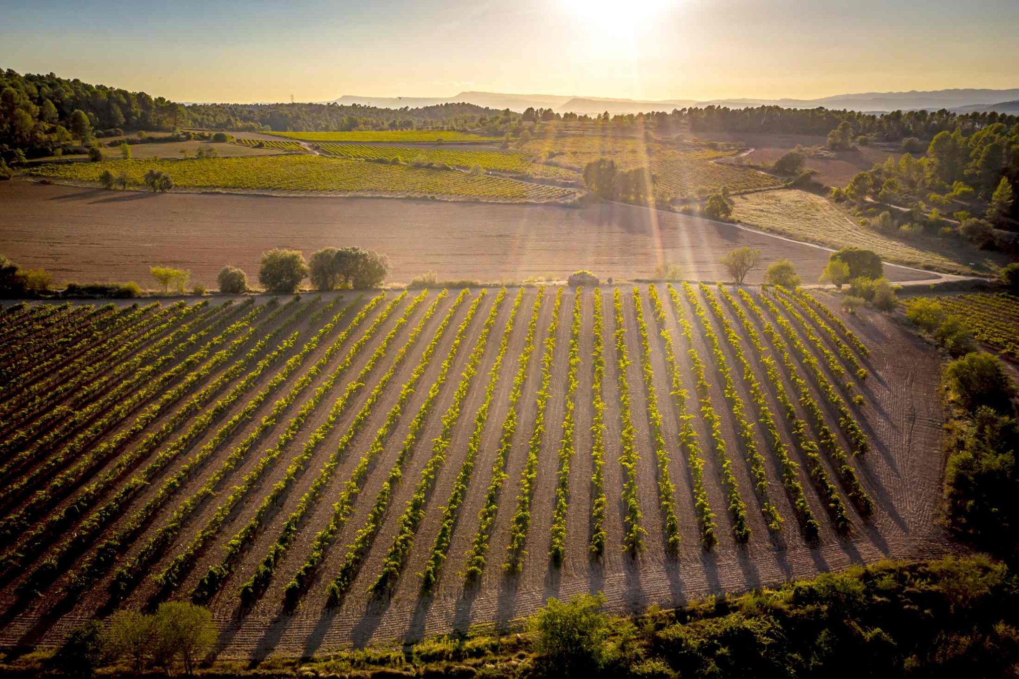 artes_octubre_fortuny-002