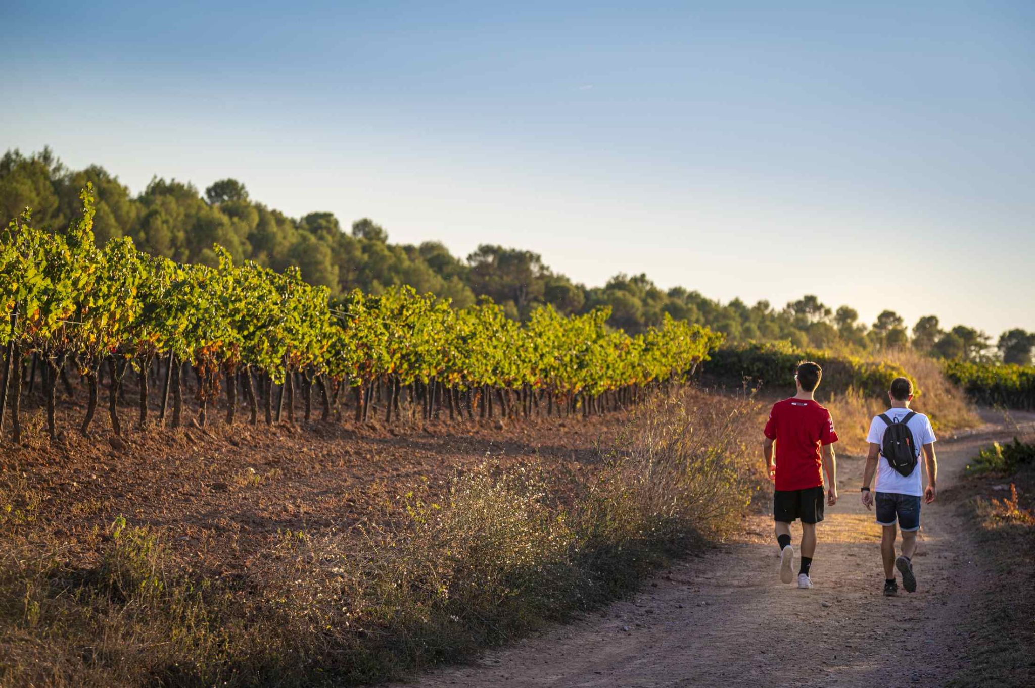 artes_octubre_fortuny-003