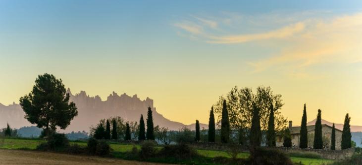 La ruta del vi de la DO Pla del Bages - La Ruta