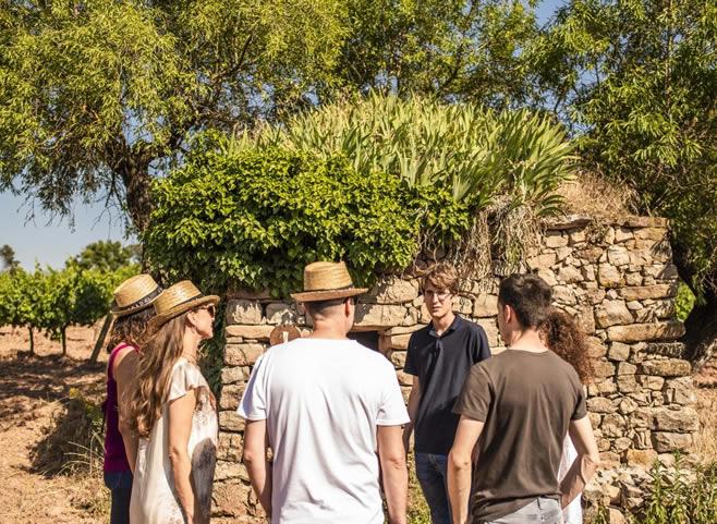 La ruta del vi de la DO Pla del Bages - A walk to admire vineyards and dry stone huts with brunch