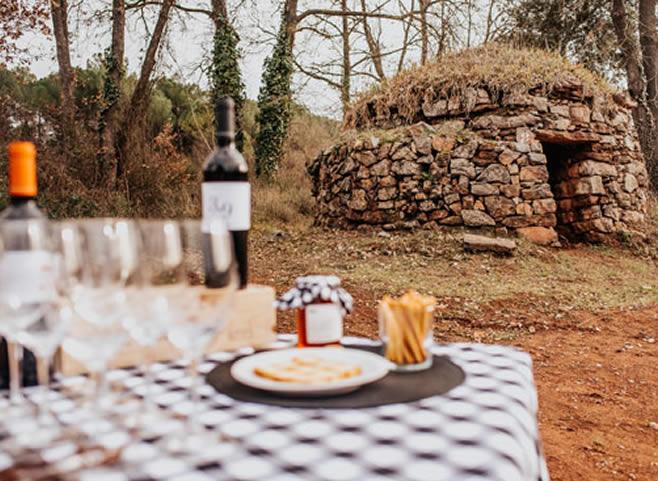 La ruta del vi de la DO Pla del Bages - A walk to admire vineyards and dry stone huts with brunch