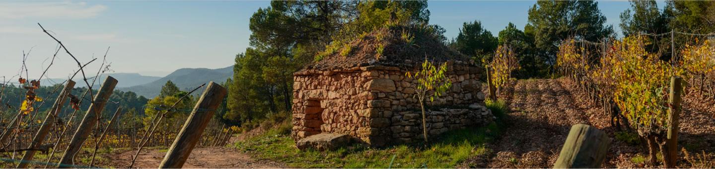 La ruta del vi de la DO Pla del Bages - Mas Ribatallada