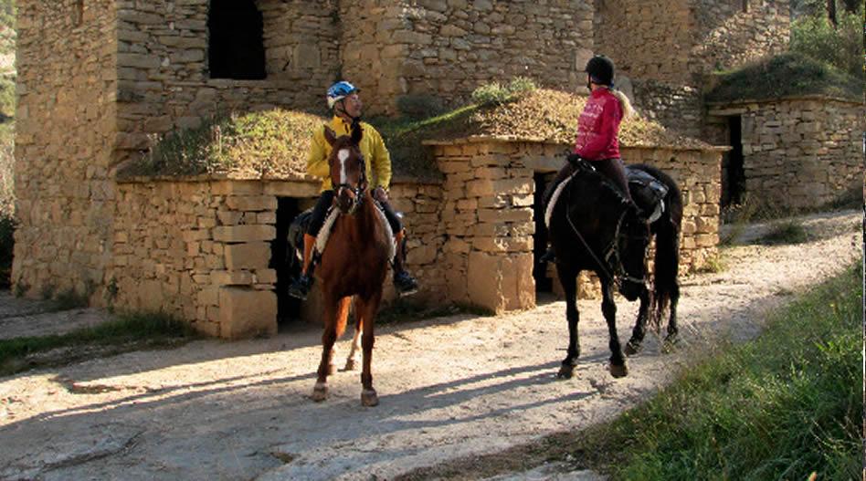 La ruta del vi de la DO Pla del Bages - Pícnic entre vinyes