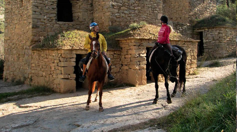 La ruta del vi de la DO Pla del Bages - Horseback riding through the vineyards