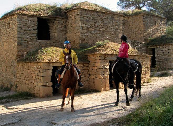 La ruta del vi de la DO Pla del Bages - Ruta de les set tines a cavall