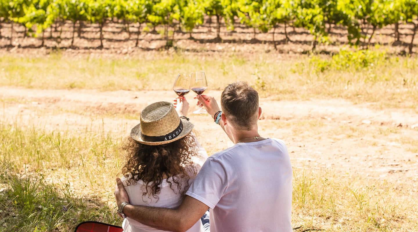 La ruta del vi de la DO Pla del Bages - Pícnic entre vinyes