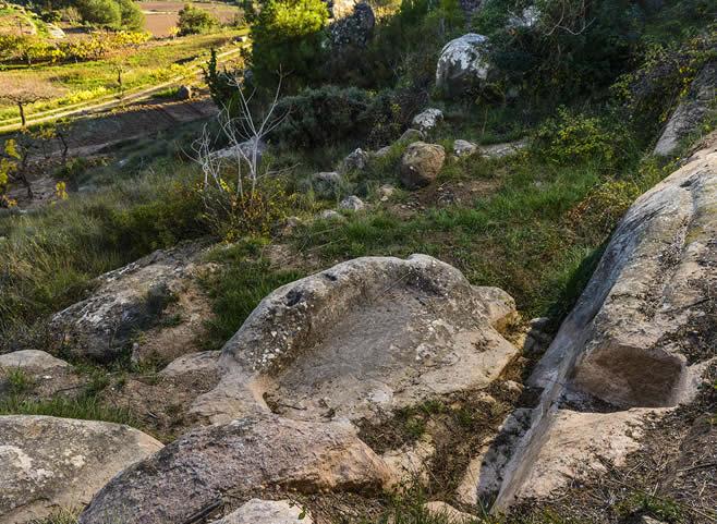 La ruta del vi de la DO Pla del Bages - Univers Exibis