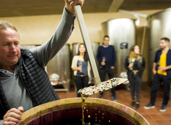 La ruta del vi de la DO Pla del Bages - Des vins d’exception pour chaque moment