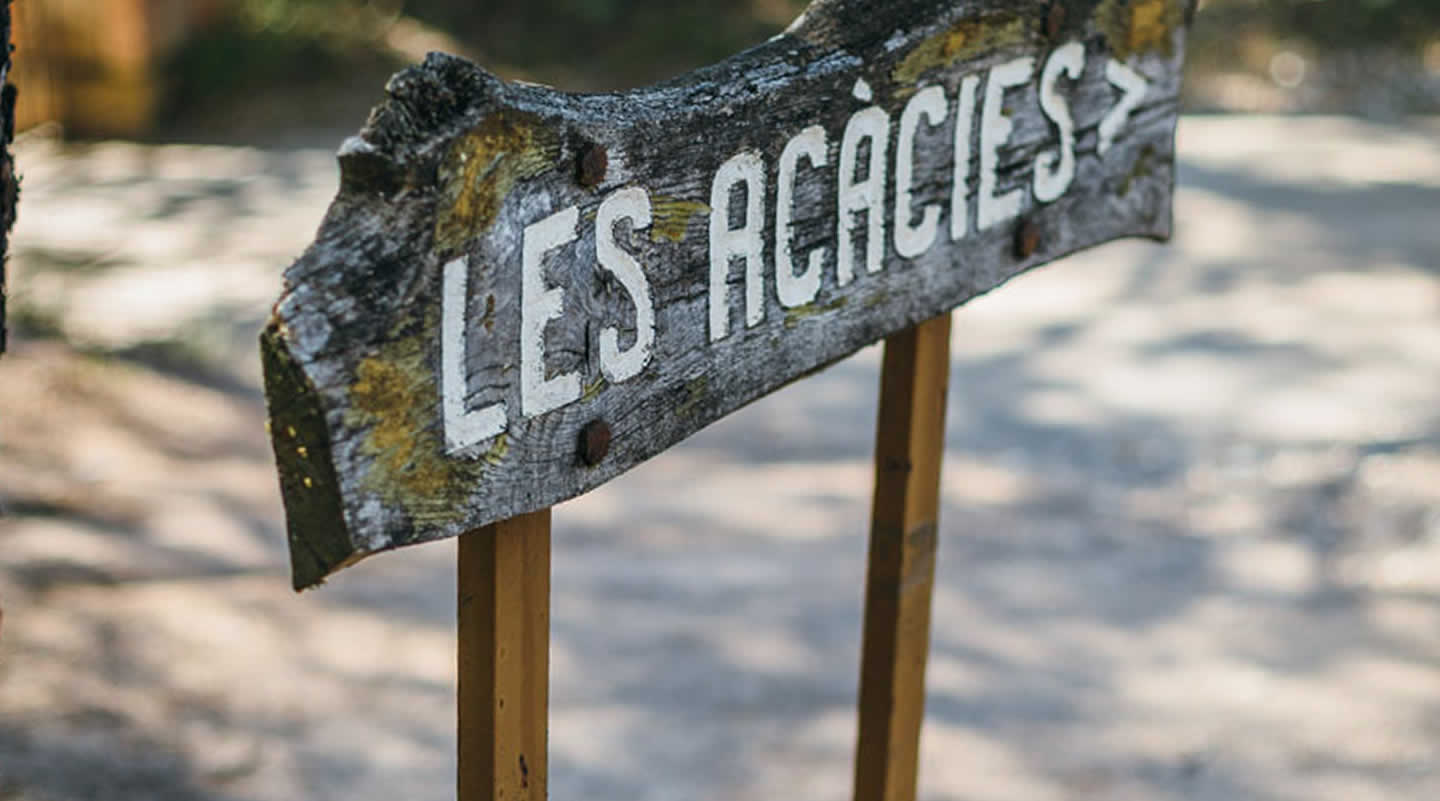 La ruta del vi de la DO Pla del Bages - Pícnic entre vinyes