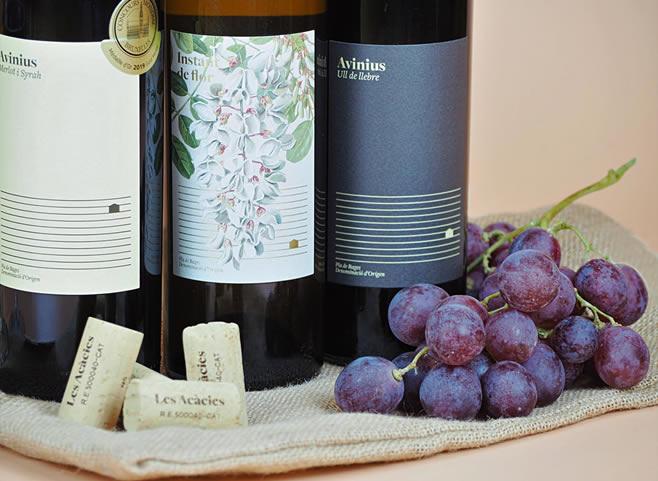La ruta del vi de la DO Pla del Bages - Visite Accords mets et vins