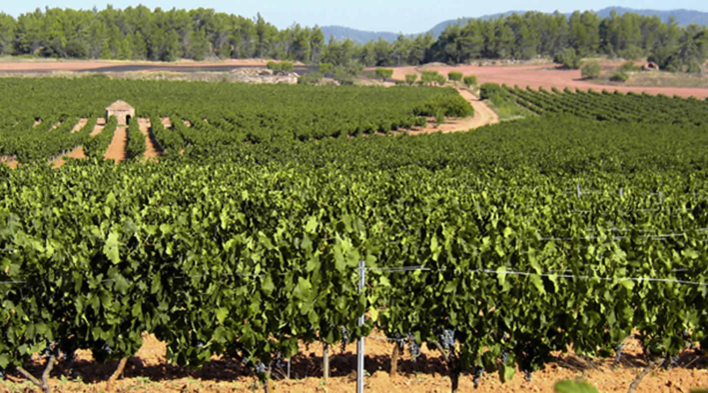 La ruta del vi de la DO Pla del Bages - Masia les Quingles