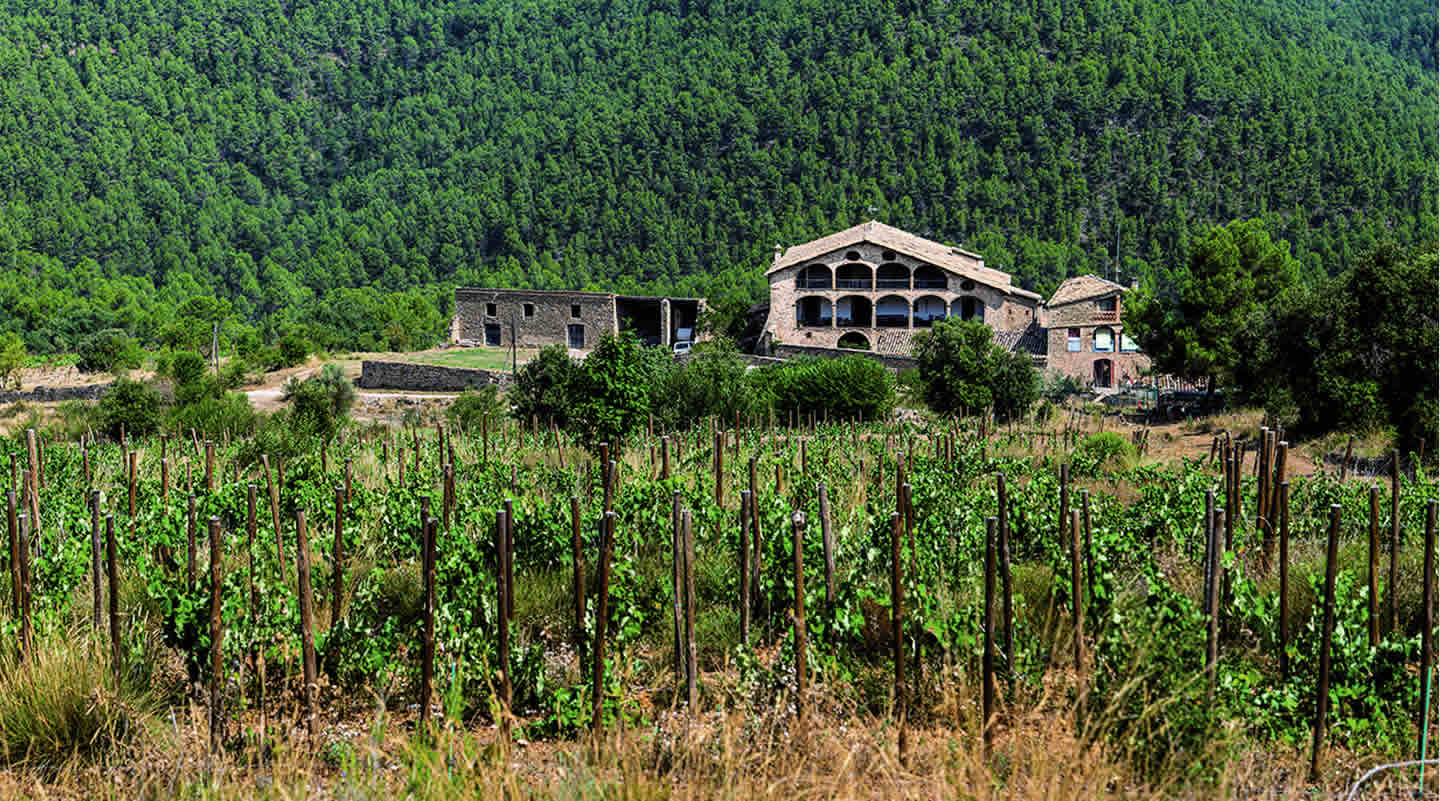 La ruta del vi de la DO Pla del Bages - Masia les Quingles