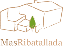 La ruta del vi de la DO Pla del Bages - Introduction à l’univers de la vigne et du vin