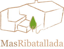 La ruta del vi de la DO Pla del Bages - Introduction to the world of vines and wine