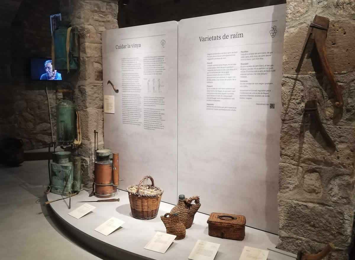 La ruta del vi de la DO Pla del Bages - Museu de la memòria de la Vinya i el Vi