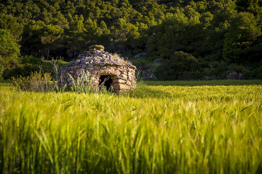 La ruta del vi de la DO Pla del Bages - La pedra seca explica l’arrelament al territori