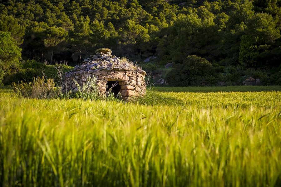 La ruta del vi de la DO Pla del Bages - Descobreix els Secrets del Bages:  els itineraris de Pedra Seca de la Ruta del Vi de la DO Pla de Bages