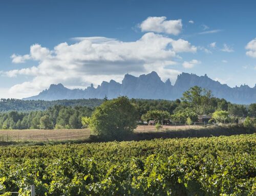 El Bages: retir i respir enoturístic