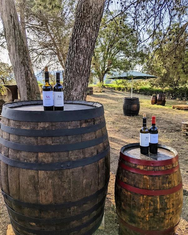 La ruta del vi de la DO Pla del Bages - El Bages: retir i respir enoturístic