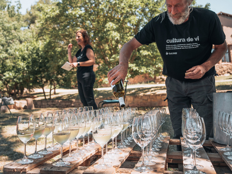 La ruta del vi de la DO Pla del Bages - Pícnic entre vinyes