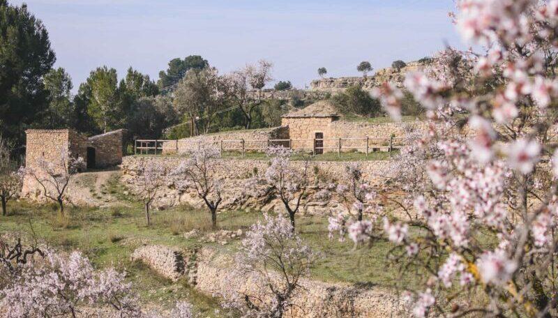 La ruta del vi de la DO Pla del Bages - Parc del Secà