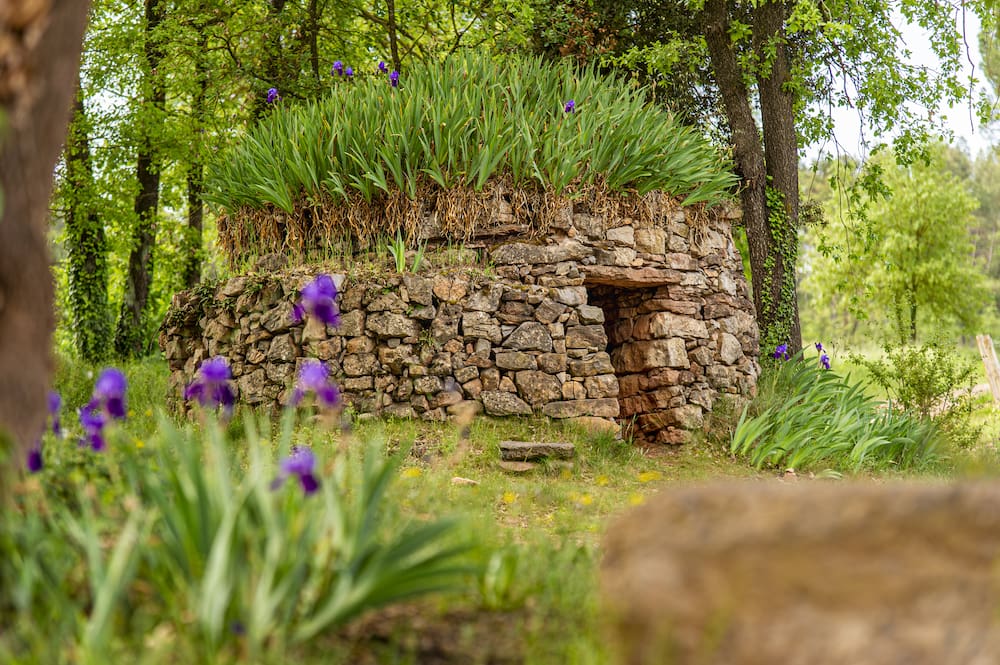 La ruta del vi de la DO Pla del Bages - Il·lusió, història, humilitat i qualitat