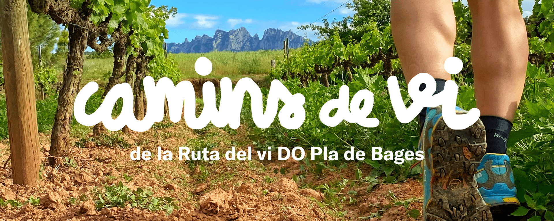 La ruta del vi de la DO Pla del Bages - Camins de vi