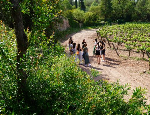 Tot el que fascina els enoturistes del Bages (i no s’imaginaven)