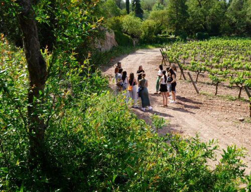 Tot el que fascina els enoturistes del Bages (i no s’imaginaven)