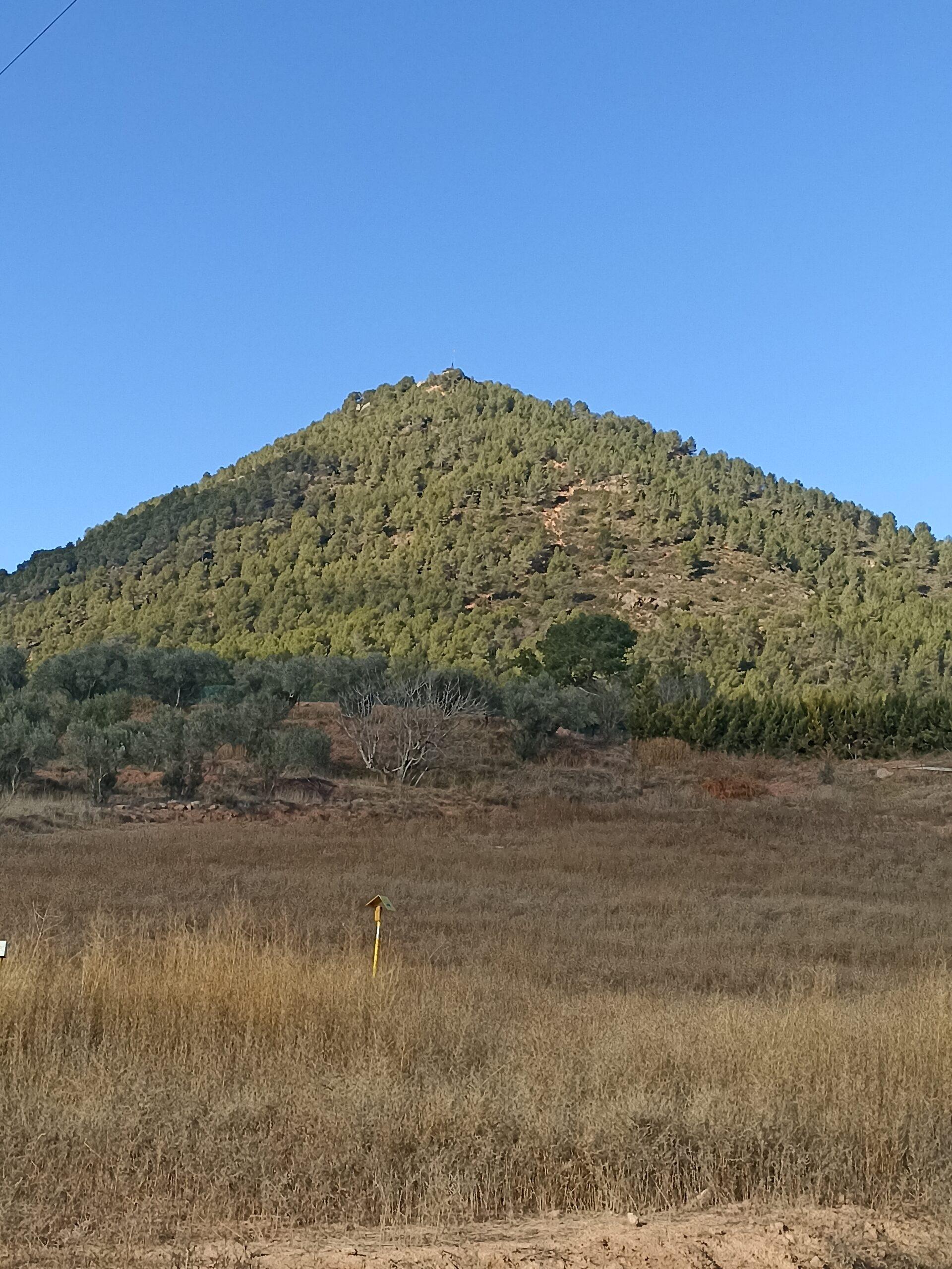 La ruta del vi de la DO Pla del Bages - Sant Joan de Vilatorrada i Collbaix