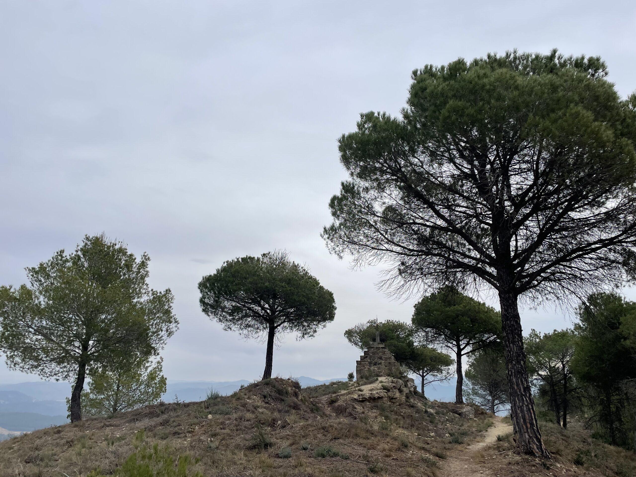 La ruta del vi de la DO Pla del Bages - Les barraques als boscos de Castellgalí