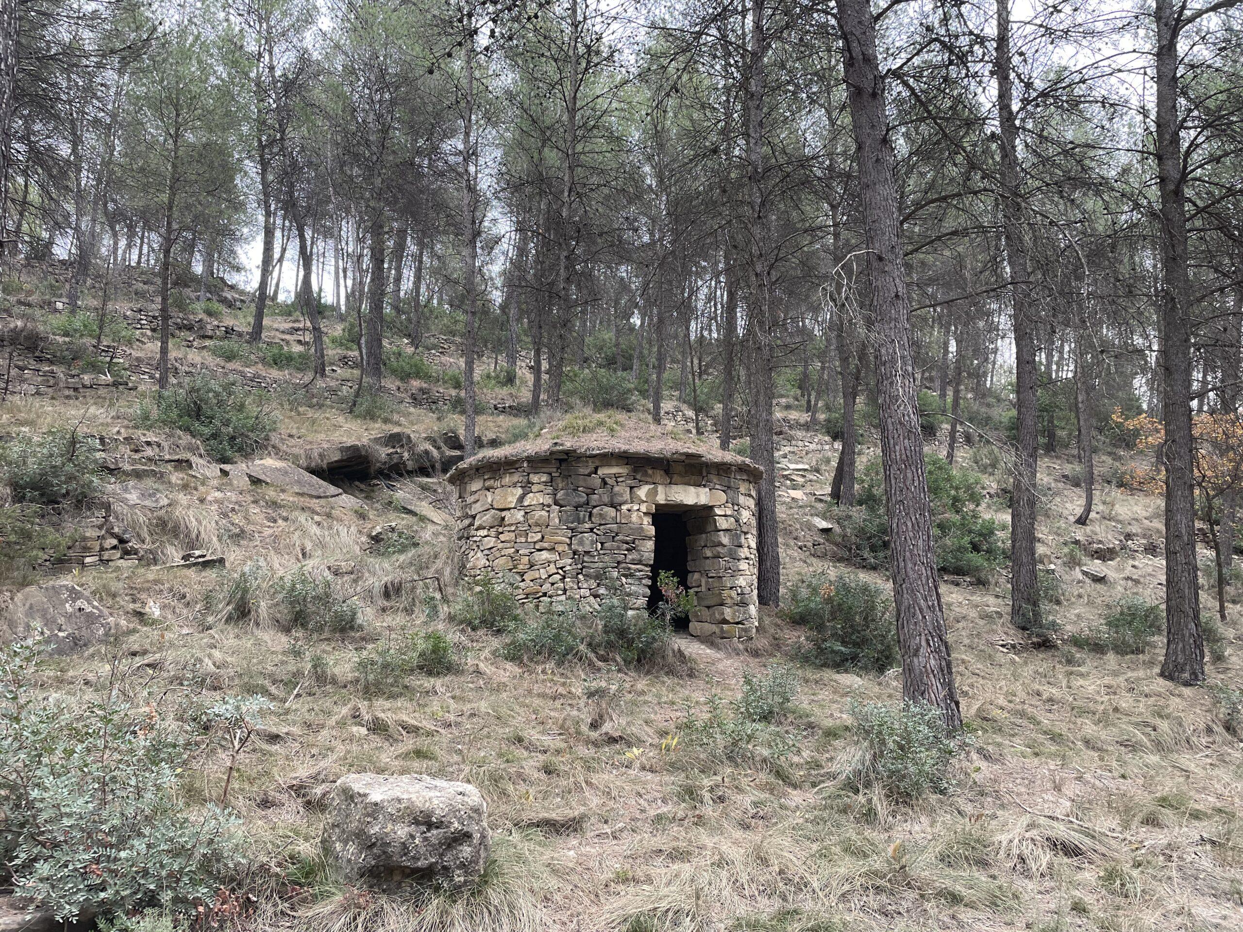 La ruta del vi de la DO Pla del Bages - Itinerari de pedra seca del Samuntà de Súria